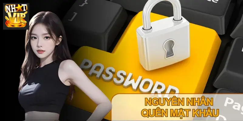 Quên mật khẩu Nhatvip có thể do đăng ký nhiều tài khoản, ít đăng nhập,...